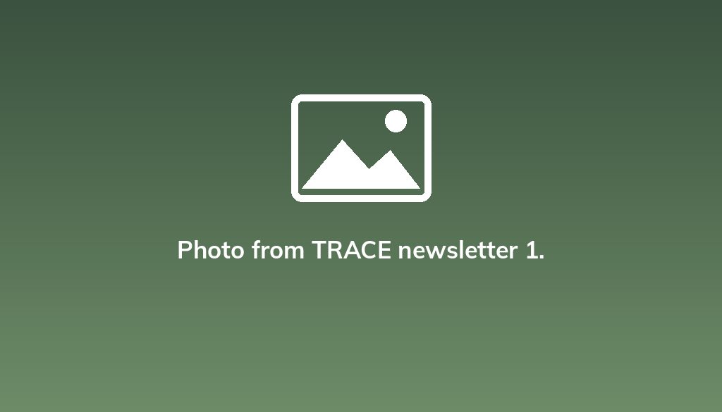 Photo from TRACE newsletter 1.